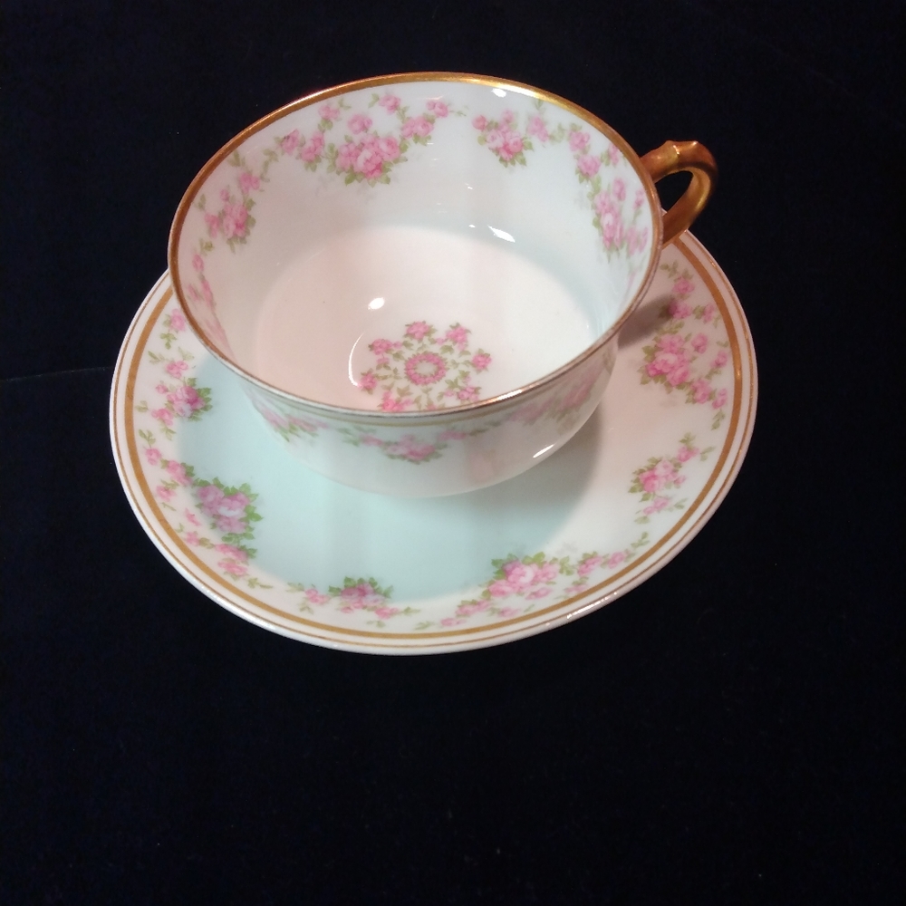 Haviland & Co Limoges, White and Pink Roses Tea Cup & Saucer